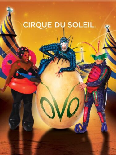 Le retour d’OVO du Cirque du Soleil au Centre Bell : un rendez-vous incontournable !