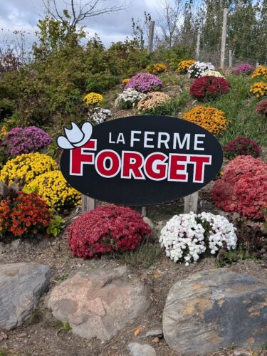 Vivez l’automne à la Ferme Forget : activités pour toute la famille!