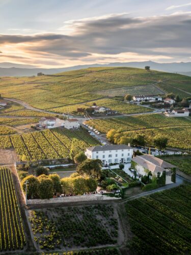 12 vins Beaujolais à découvrir cet automne