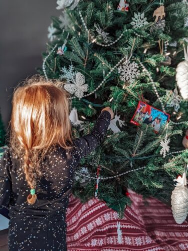 Bôsapin: Le sapin de Noël livré et installé à domicile