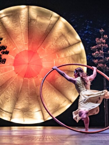 Ne manquez pas LUZIA du Cirque du Soleil à Montréal!