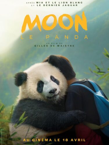 Moon le Panda : Une aventure d’amitié et de lien familial