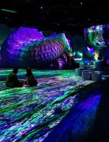 OASIS immersion : nouvelle exposition apesanteur à Montréal