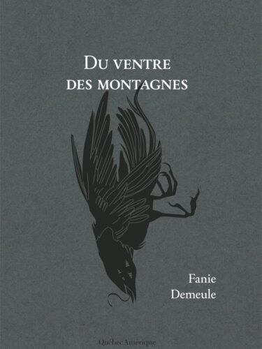 Du ventre des montagnes de Fannie Demeule