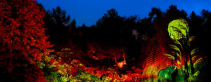 Lanternes colorées aux Jardins de lumière 2025 au Jardin botanique de Montréal