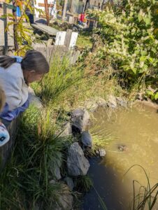 Famille marchant parmi les sentiers du Miller Zoo, entourée d’animaux et de nature