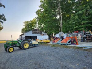Autocueillette de citrouilles à la ferme Les Citrouillards