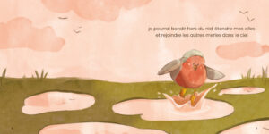 Illustration rouge-gorge Giulia Cregut dans Ne pas apprendre à voler
