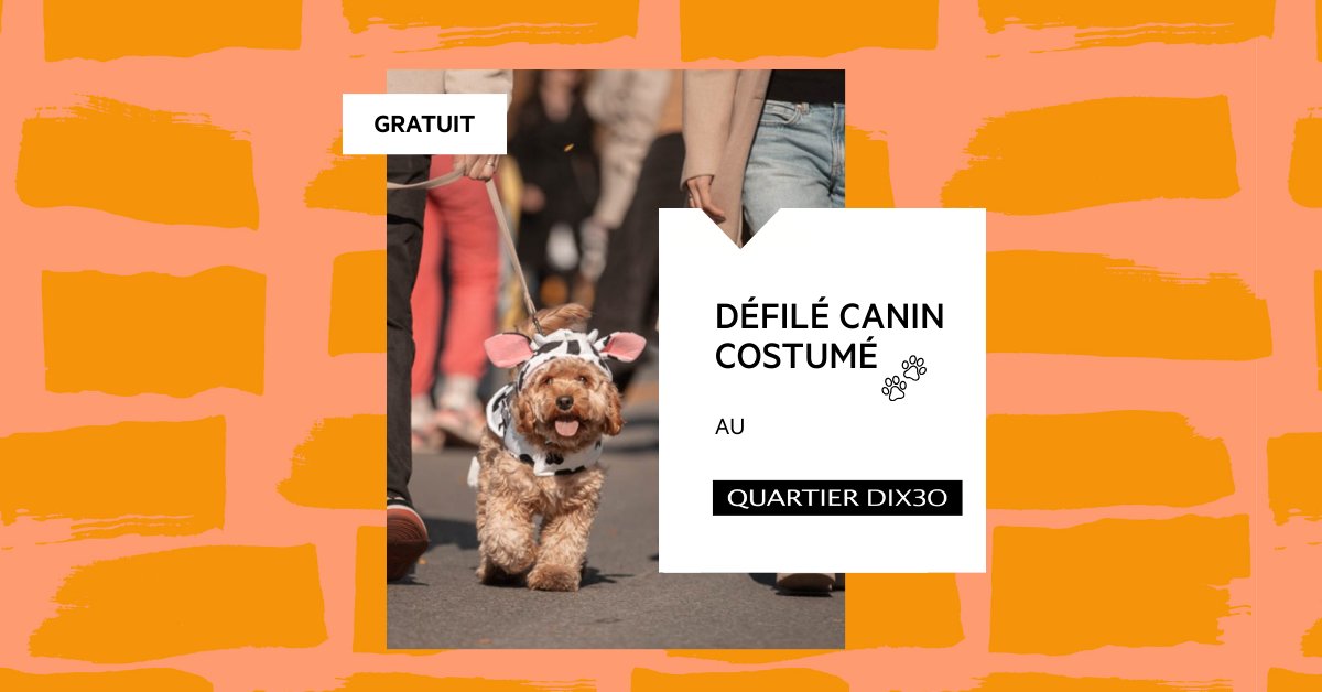 défilé canin du Quartier DIX30 lors de l’événement Halloween 2025 sur l’Esplanade, activité familiale gratuite.