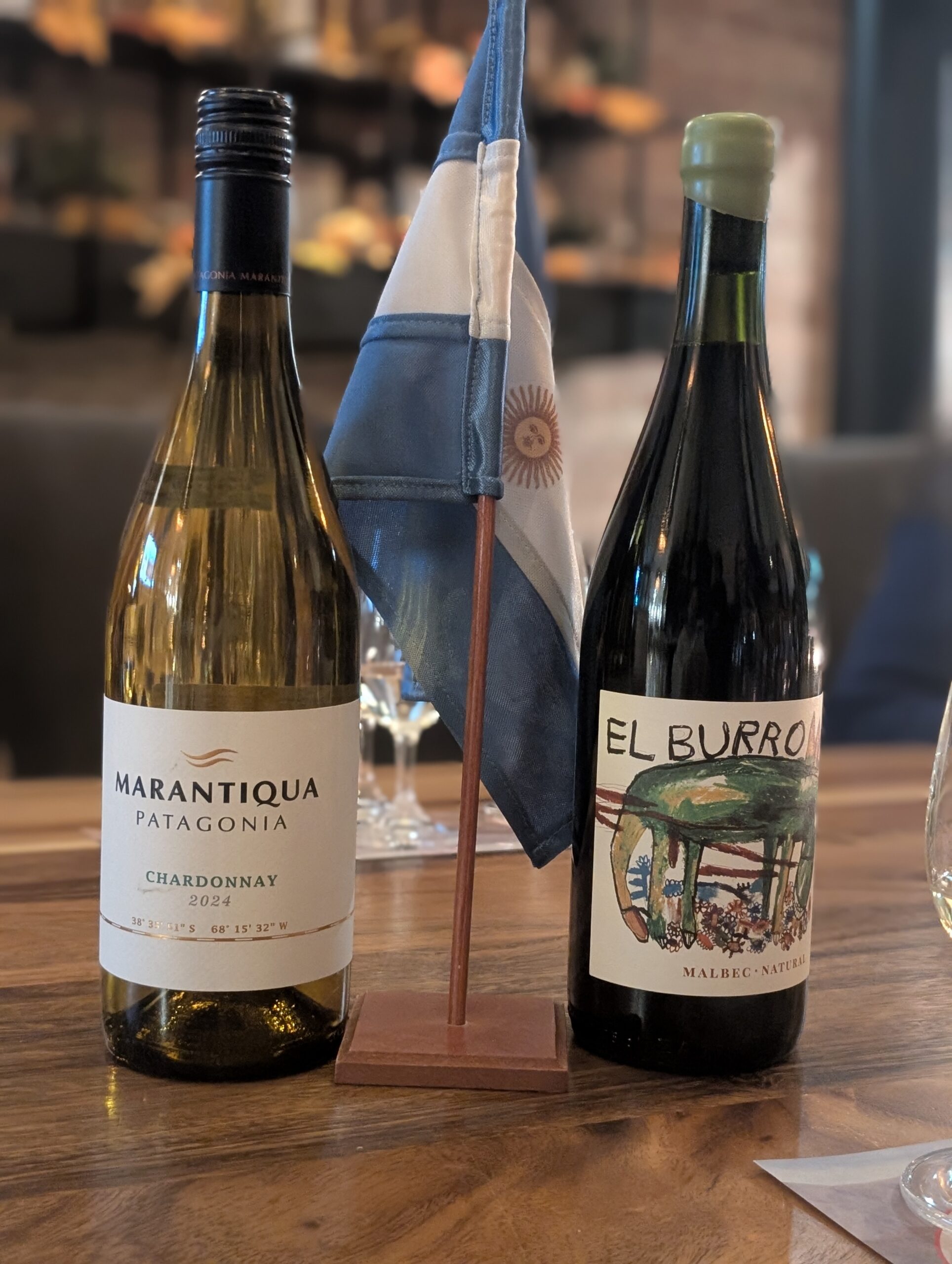 7 coups de coeurs vins argentins Wines of Argentina