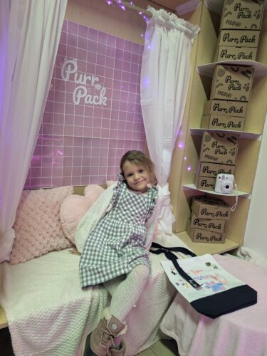 Purr Pack : la nouvelle boîte féline débarque à Montréal