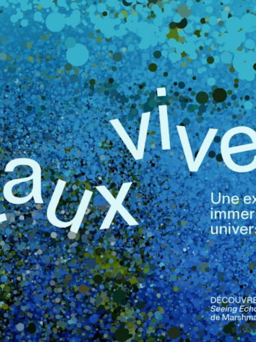 Découvrez Panorama Expérience, le nouveau lieu immersif