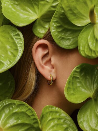 Lancement Fiola Botanique : Plantes rares et fête à Terrebonne