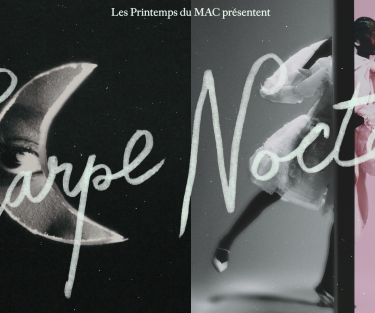 Printemps du MAC 2026 : Une soirée Carpe Noctem magique