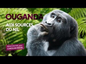 Ouganda aux sources du Nil