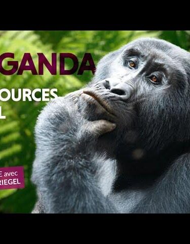 Ouganda aux sources du Nil : rencontre avec Caroline Riegel