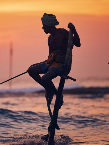 Sri Lanka : La perle resplendissante de l’Océan Indien