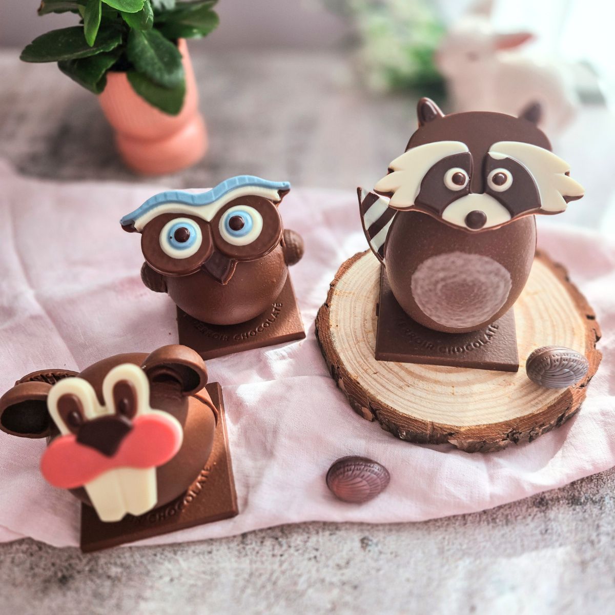 collection de Pâques de FAYS Terroir chocolaté à Oka