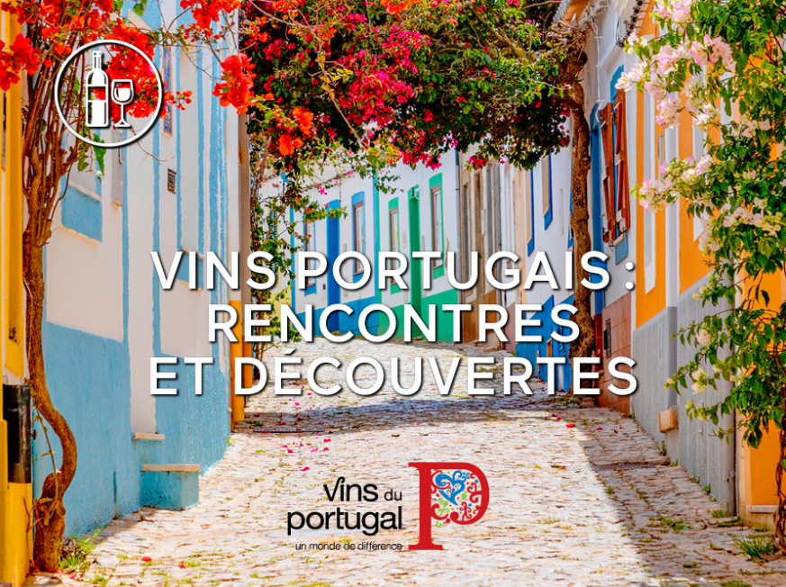 Prova Portugal – une dégustation de vins portugais