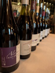 bouteilles lors d'une dégustation de l'appellation Crozes-Hermitage.
