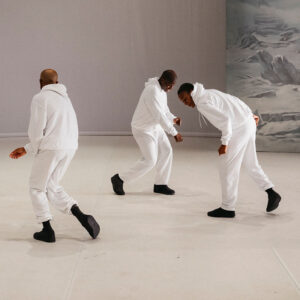 From-rock-to-rock…-aka-how-magnolia-was-taken-for-granite - Jeremy Nedd