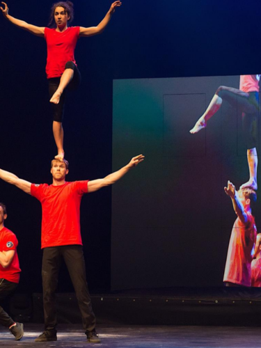 L’Impro Cirque : Quand l’adrénaline remplace le filet à la TOHU !