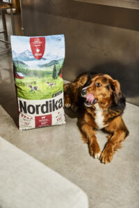 Nordika, nourriture pour chiens, produits québécois, santé animale, chiens actifs