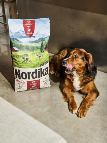Nordika : La nourriture pour chiens québécoise adorée