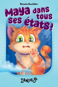 Couverture du livre jeunesse Maya dans tous ses états de Natacha Bouthillier montrant un petit chat roux anxieux dans un avion.