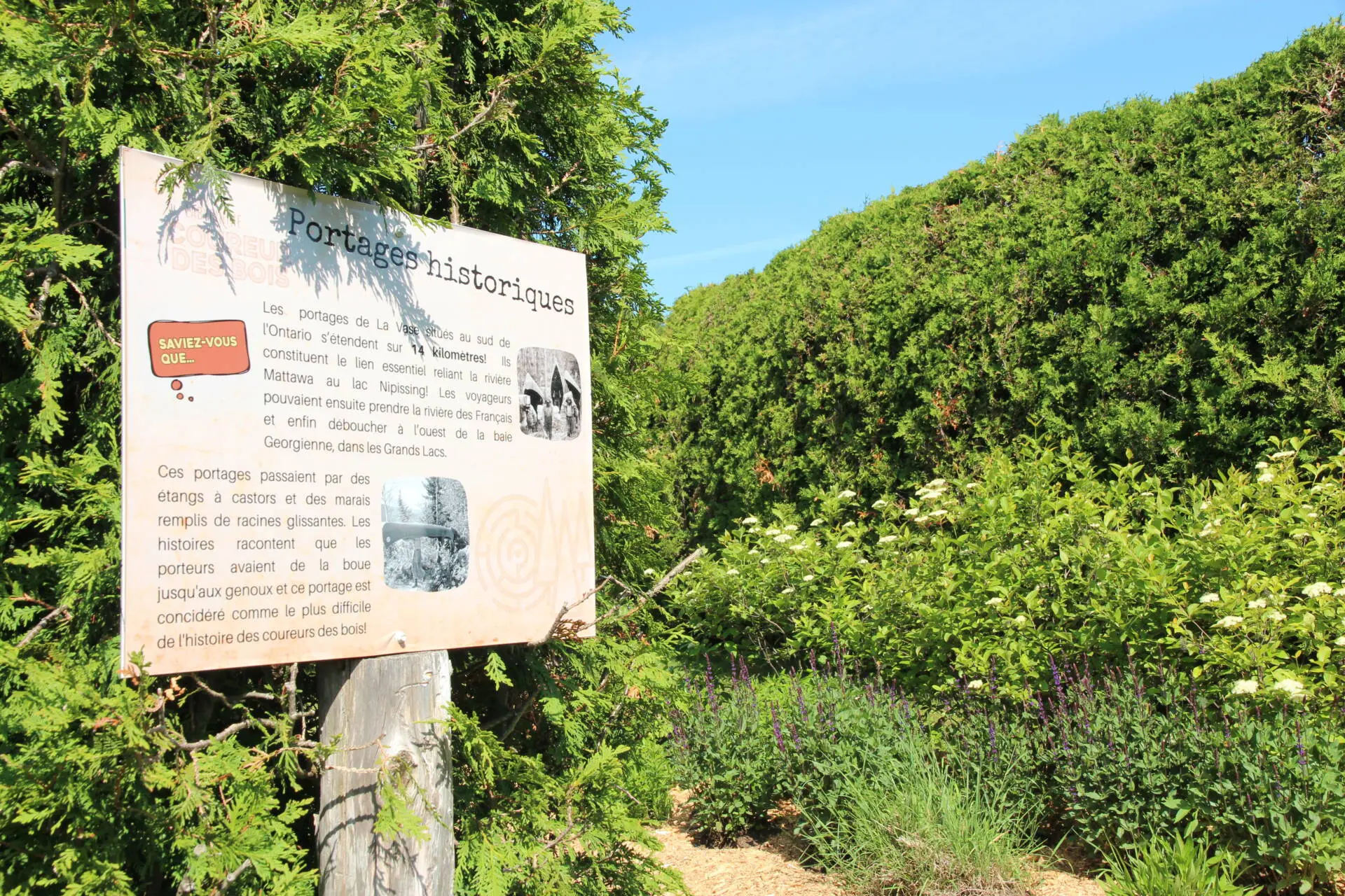 labyrinthe coureurs des bois