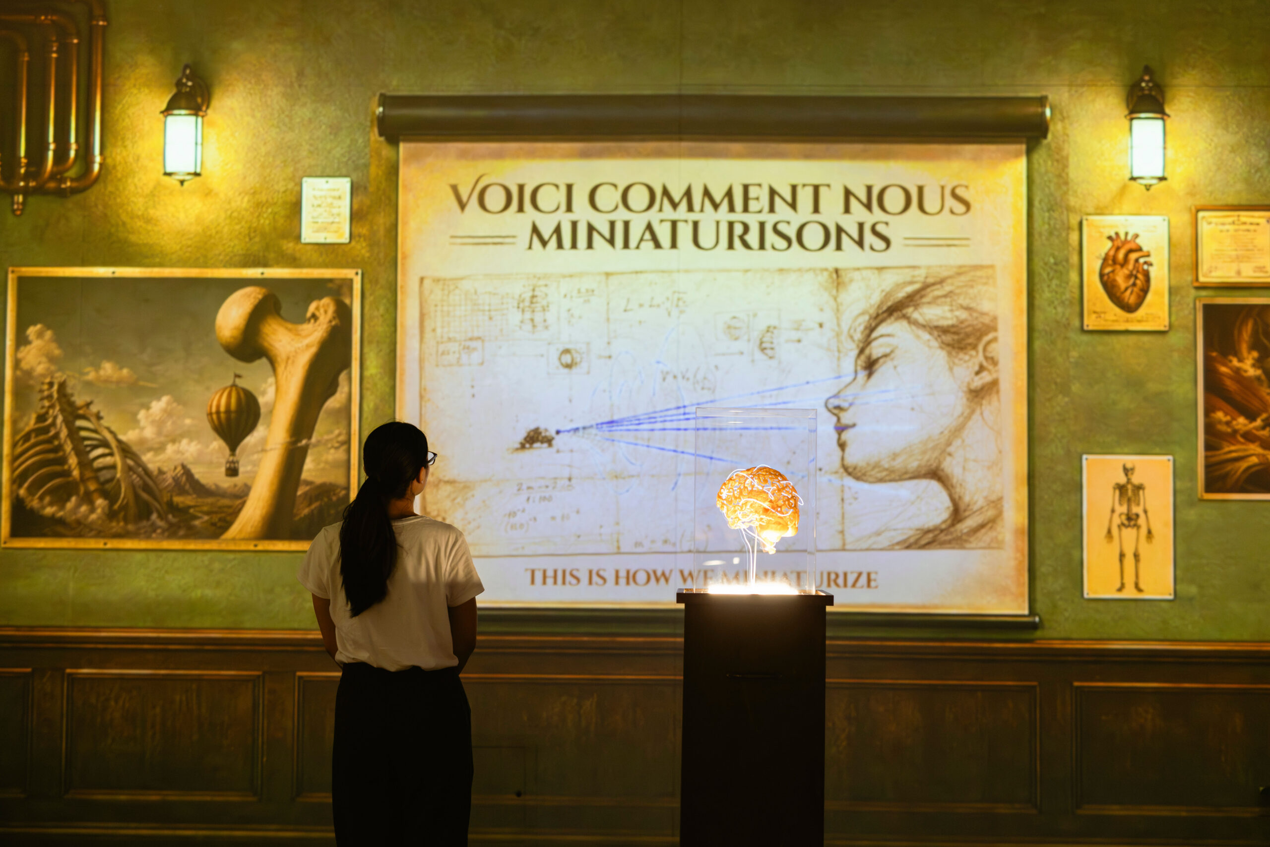 Vue de dos d’une personne en chemise blanche regardant une grande installation muséale présentant des dessins anatomiques et du texte en français sur le mur.