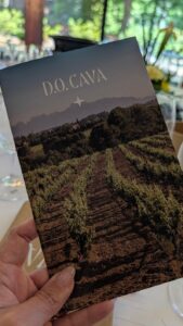 bulles CAVA D.O.