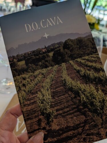 12 Cava D.O. à découvrir pour vos 5 à 7 cet été