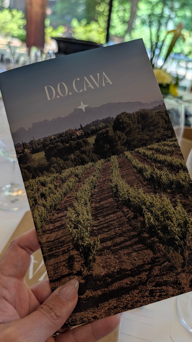 bulles CAVA D.O.