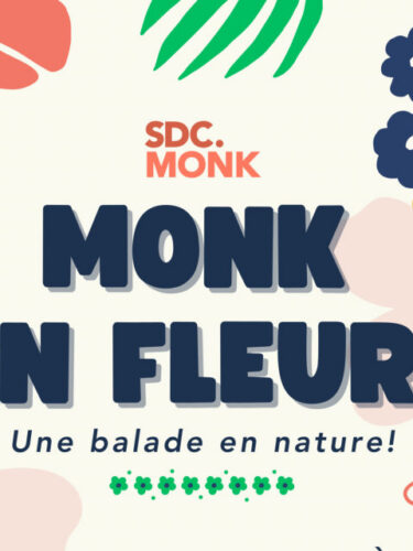 Monk en fleurs : une balade écologique familiale à Montréal