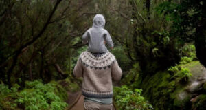Adult walks along a forest path with a child on their shoulders, seen from behind.