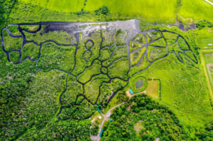 Une vue panoramique du labyrinthe d'eau d'Éco-Odyssée entouré par la forêt de l'Outaouais.