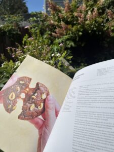 la cuisine d'Isabelle