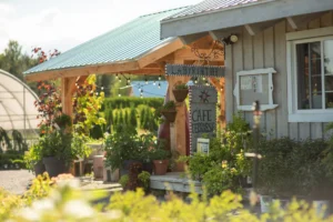 café labyrinthe coureur des bois