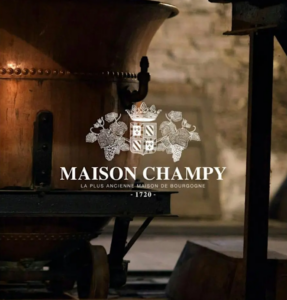 Dégustation de vins de Bourgogne du Domaine Laroche et de la Maison Champy au Parloir caves privées à Montréal.