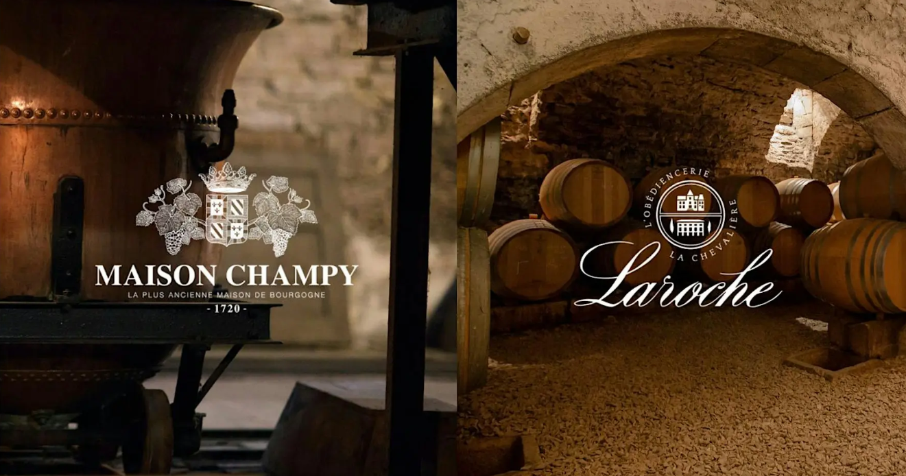 Dégustation de vins de Bourgogne du Domaine Laroche et de la Maison Champy au Parloir caves privées à Montréal.