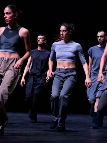 Danse Danse présente My Fierce Ignorant Step