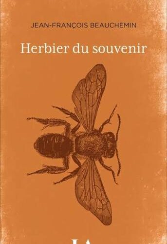 Herbier du souvenir : un roman doux et poétique sur le deuil