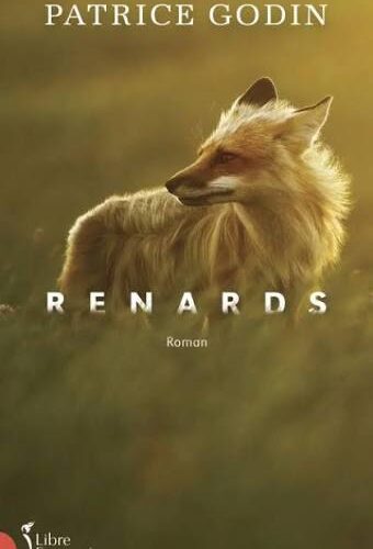 Renards de Patrice Godin : un roman au cœur de la Côte-Nord